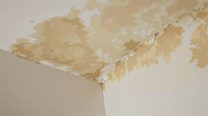 identify early water damage